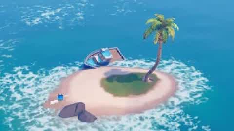 THE PALM TREE IN THE AIR