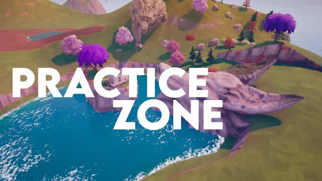 PRACTICE ZONE