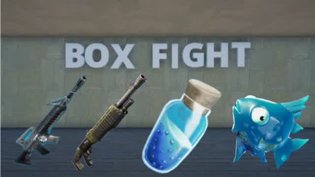 Phyzix's Box Fights