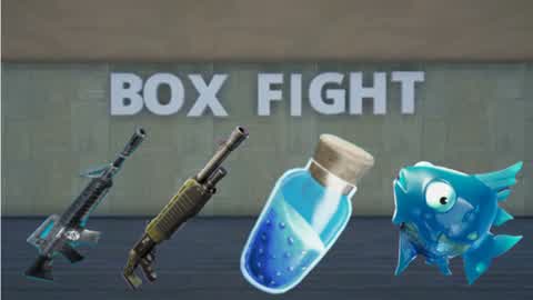 Phyzix's Box Fights