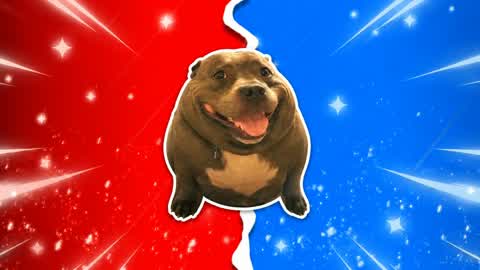 RED VS BLUE 🔴🔵DOG 67