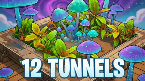 12 TUNNELS