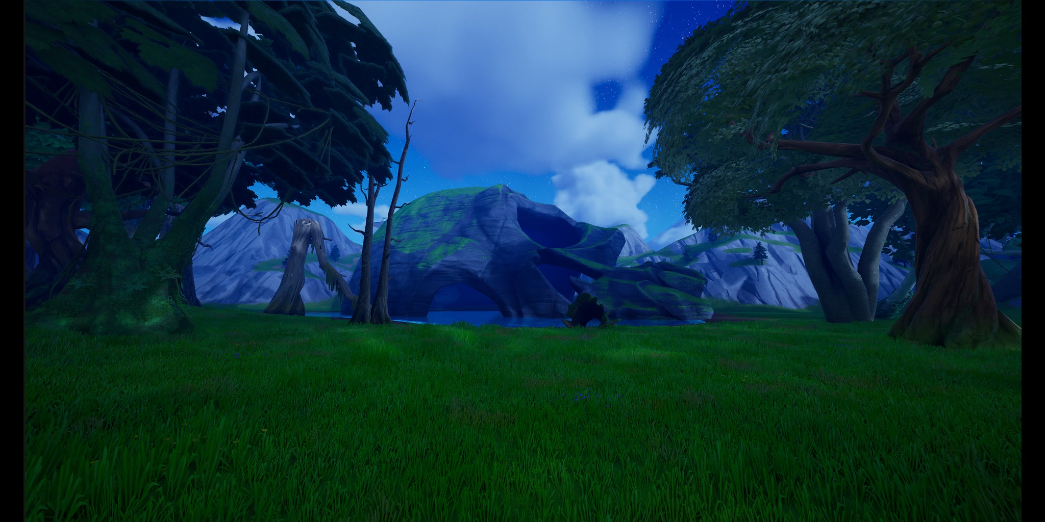 Map Image 2