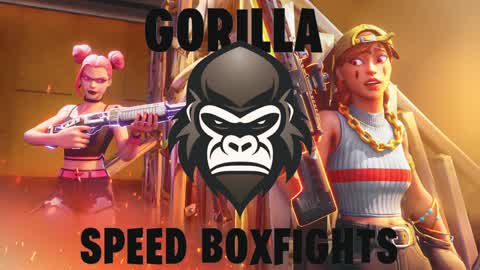 Gorilla Rapid BoxFights