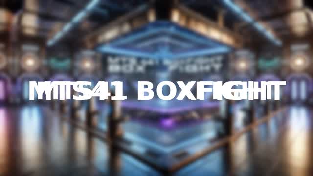 ||MTS41 BOXFIHGT||