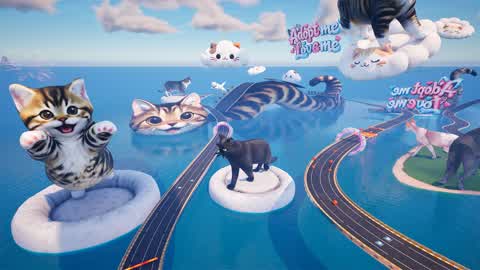 Kitty Kitty Racer