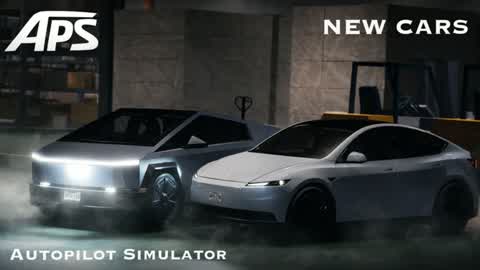 Autopilot Simulator / FSD
