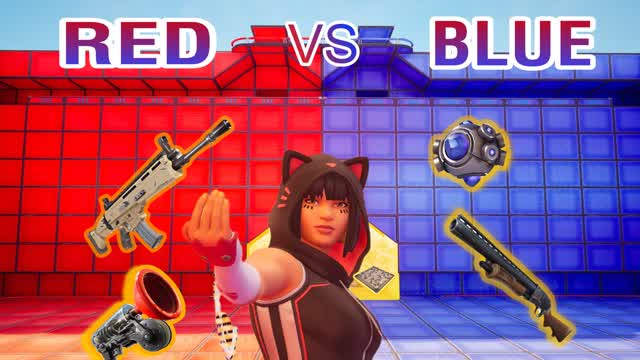 ❤️💙Red vs Blue❤️💙