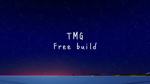 TMG Free build