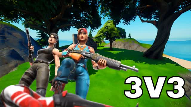 Capture 1 – REALISITC 3V3