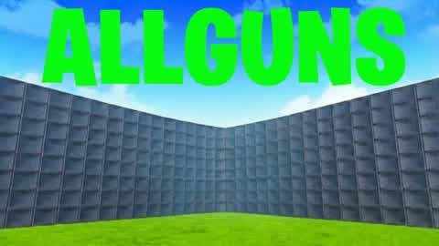 W EVERY GUN