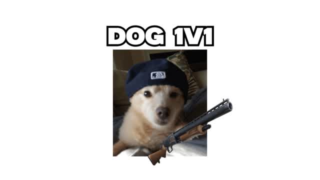 DOG 1V1