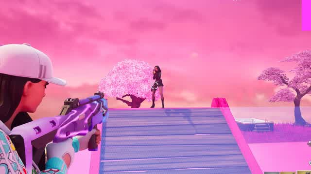 🌺 1v1 Lord Pinky 🌺