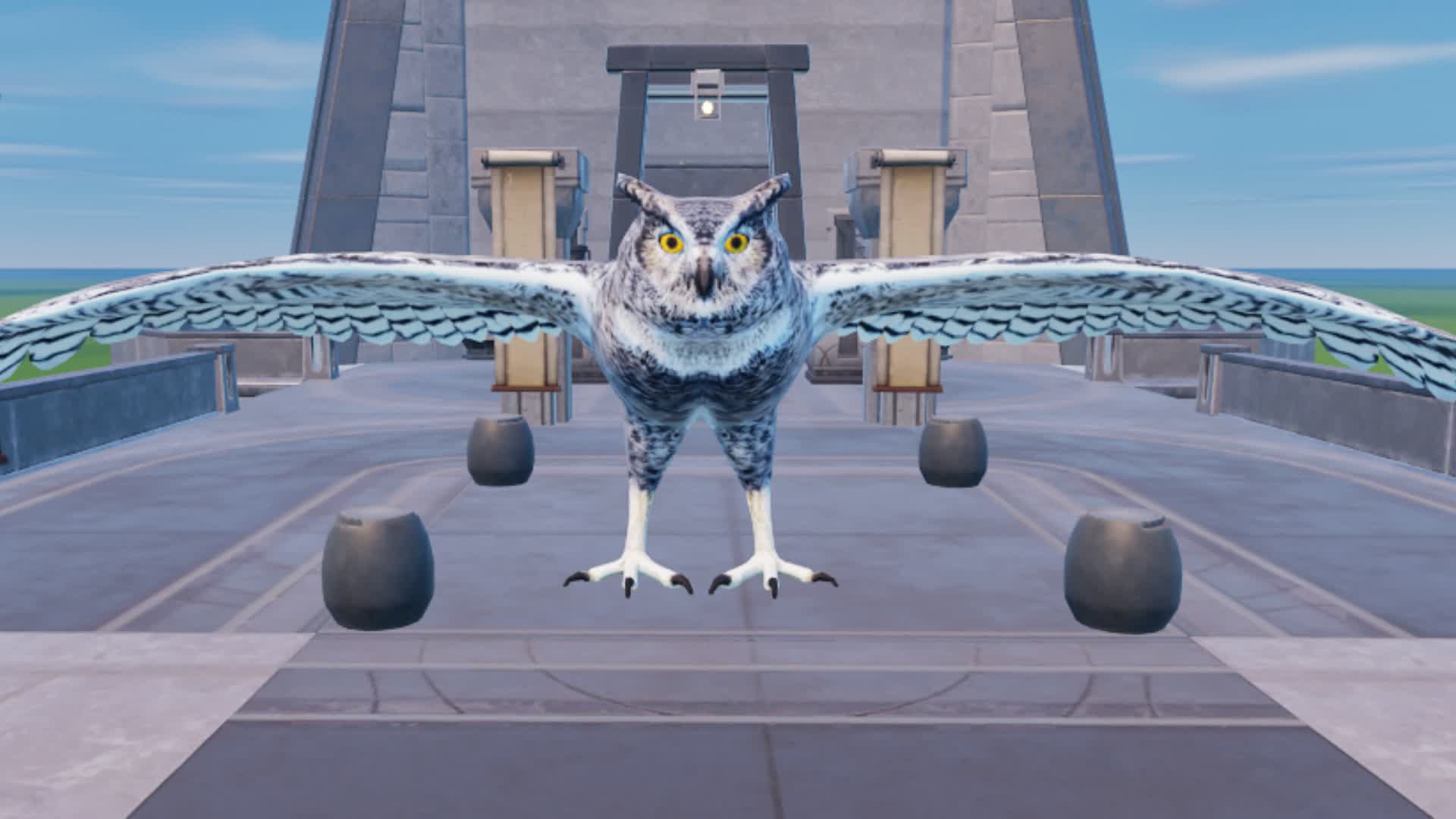 MEET NICE OWL