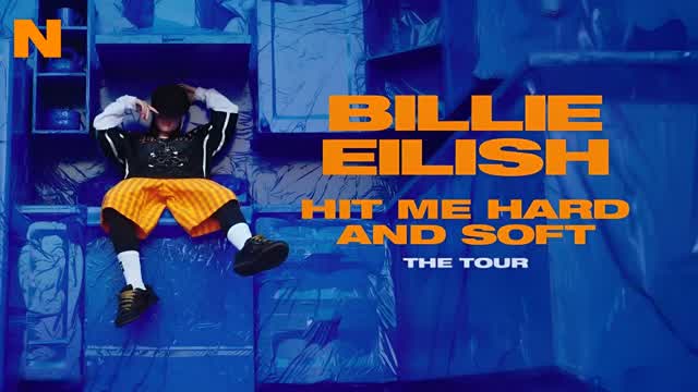 Hit Me Hard And Soft: The Tour