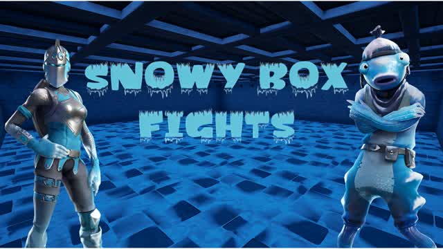 Snowy Box Fights 📦
