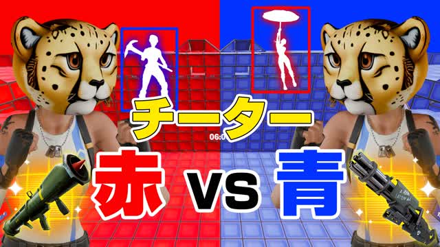チーターレッドvsブルー🔴🔵