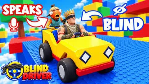 BLIND DRIVER