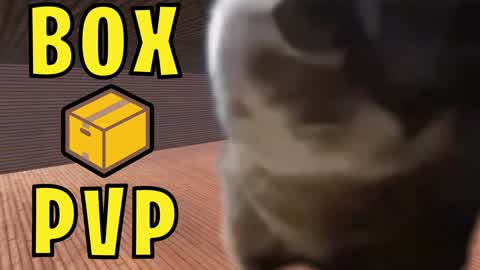 CHIPI CHAPA BOX PVP📦