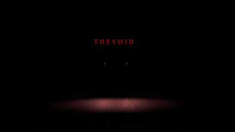 T H E  V O I D