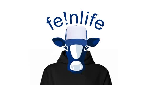 Fein 1v1's No Delay