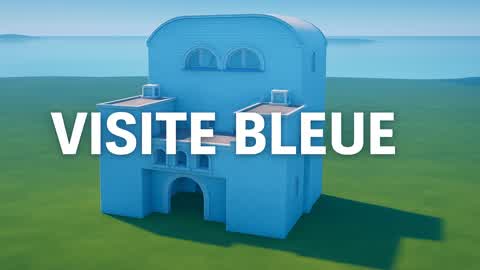 Visite Bleue