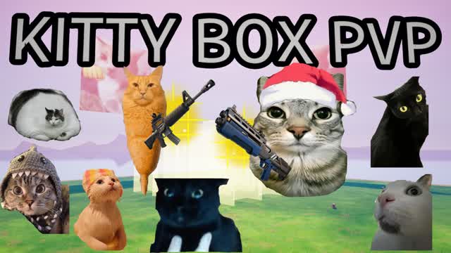 😹 Kitty Box PVP 📦
