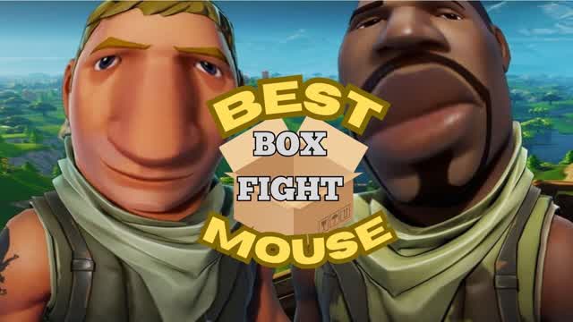 BEST BOX FIGHT MOUSE