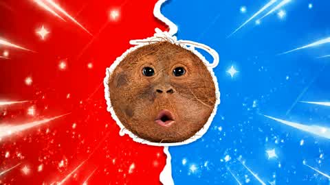 RED VS BLUE APE