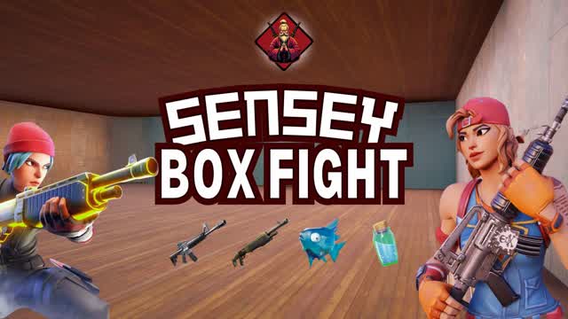 SENSEY BOX FIGHT