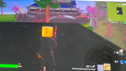 FFA Dipix team