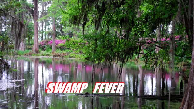 Capture 1 – Swamp Fever