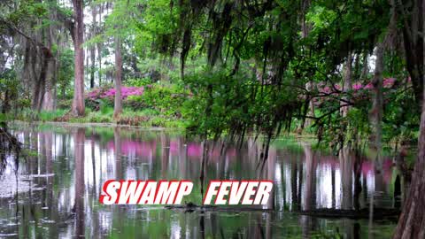 Swamp Fever