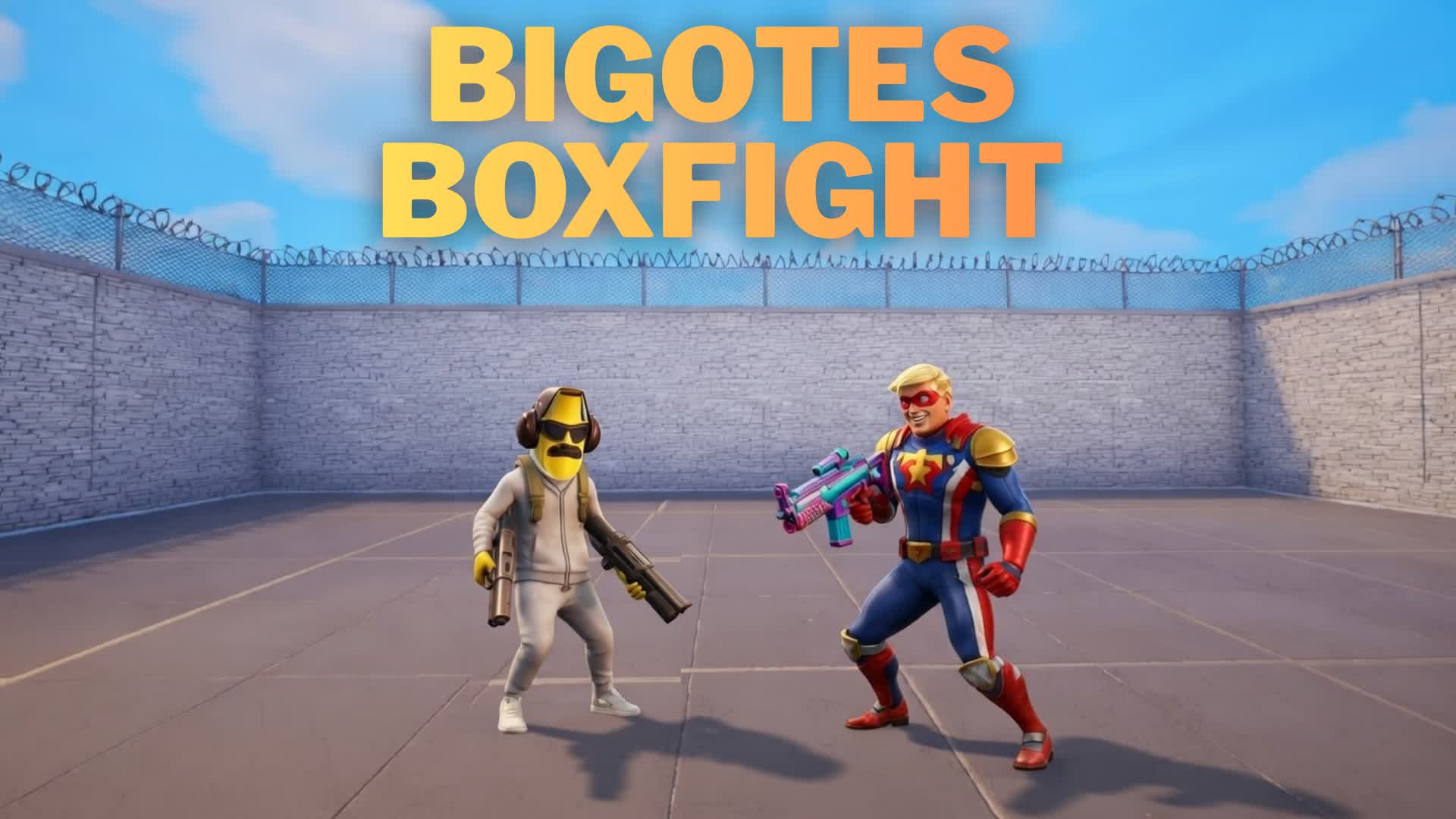 Bigotes Boxfight