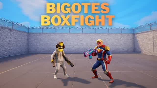 Bigotes Boxfight