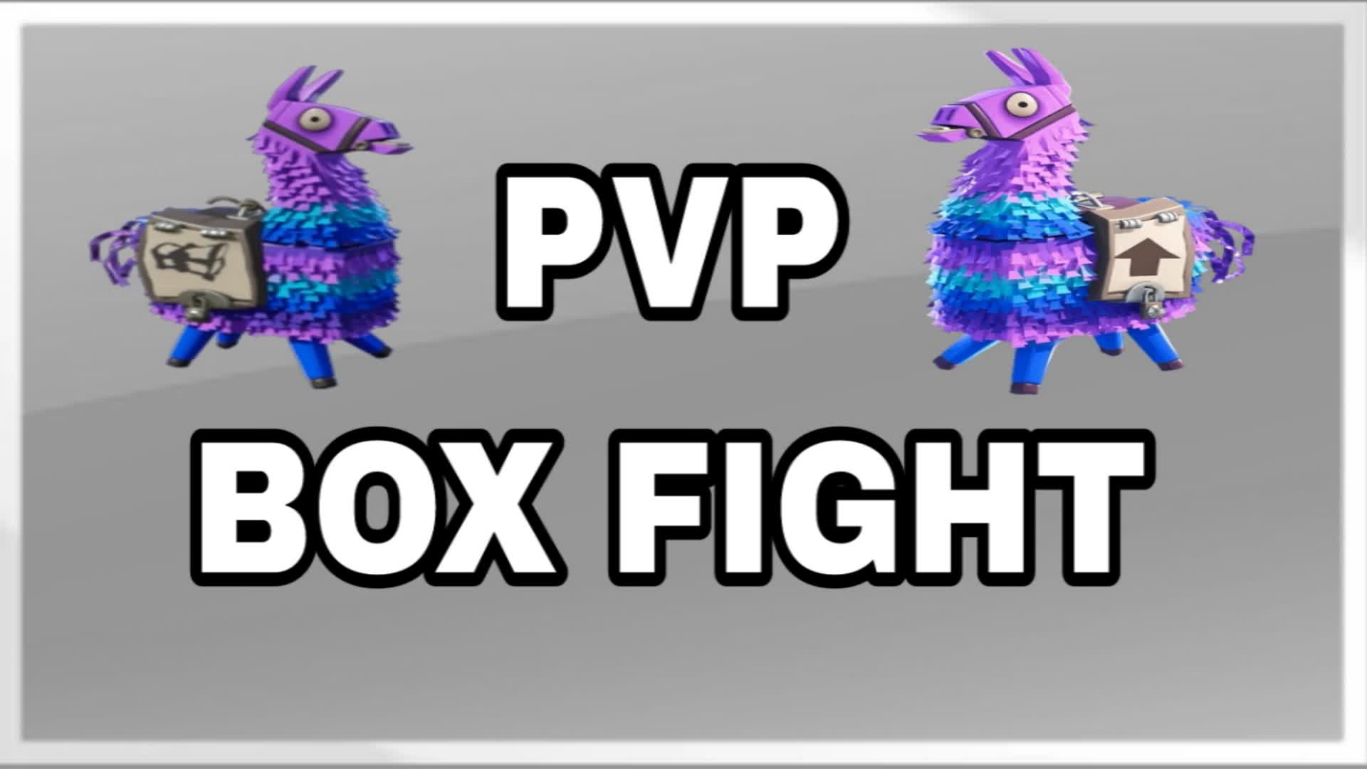 PVP BOX FIGHT