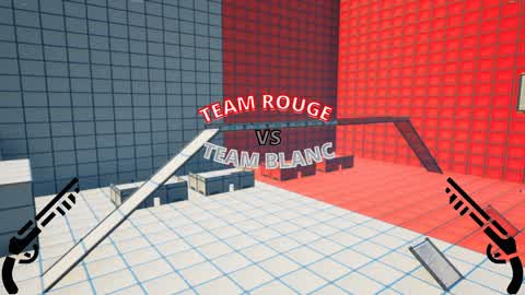 💯TEAM BLANC VS TEAM ROUGE💯