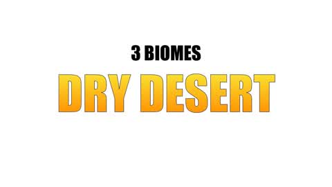 3 BIOMES | DRY DESERT