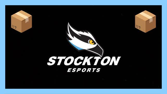Capture 1 â đŠStockton Esports BoxFightsđŠ
