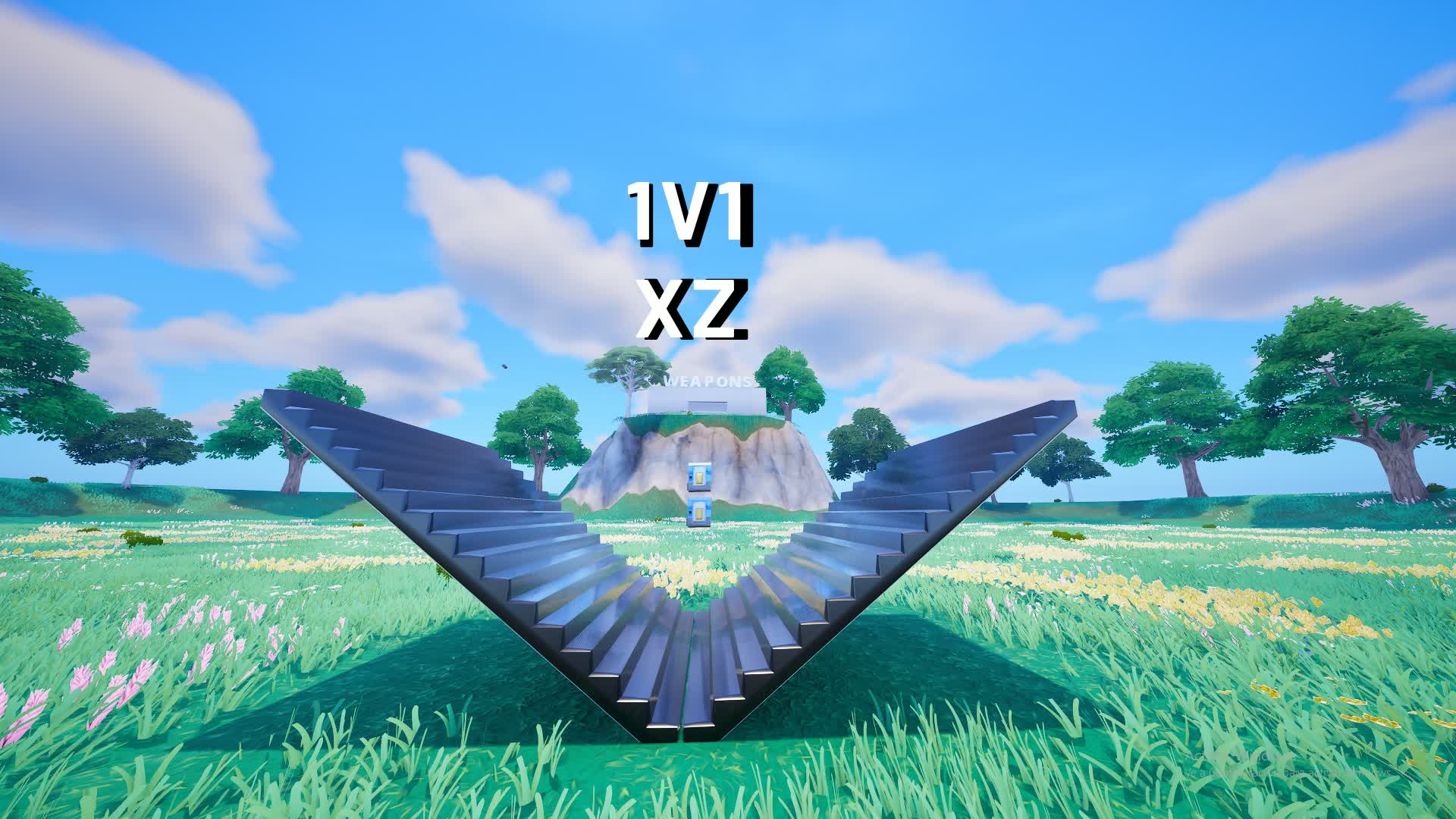 XZ_1V1