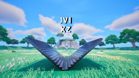 XZ_1V1
