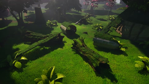 Island image