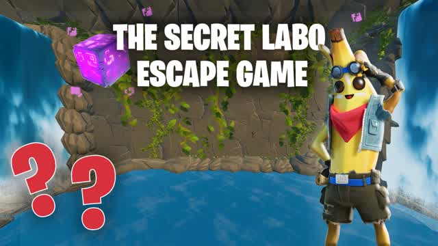Capture 1 – THE SECRET LABO ESCAPE GAME