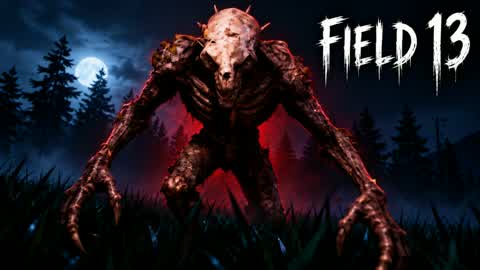 FIELD 13