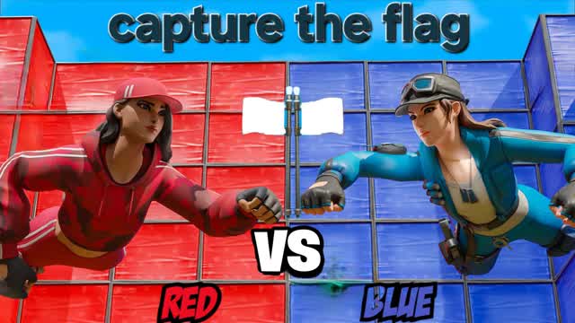 Red vs blue capture the flag