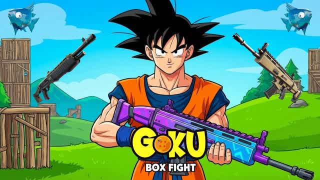GOKU BOX FIGHT