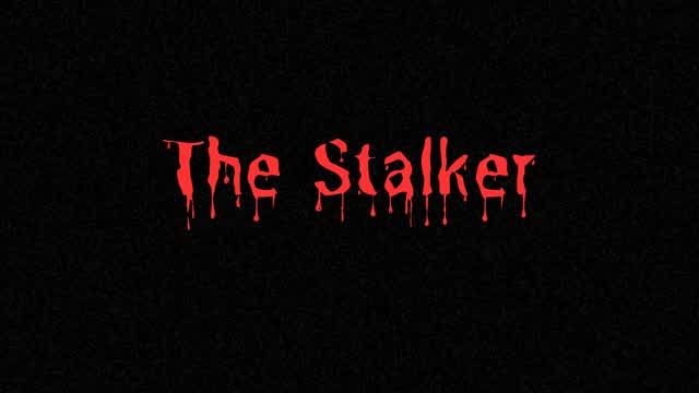 The Stalker (Horror)