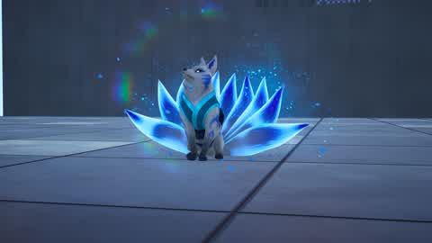 Free For All BoxFights