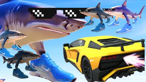 🦈ITALIAN MEGA RAMP🌈