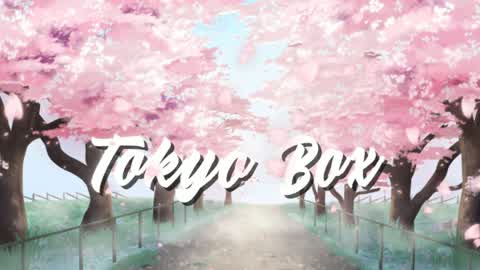 TOKYO Box PVP